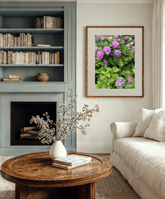 Hydrangea Haven