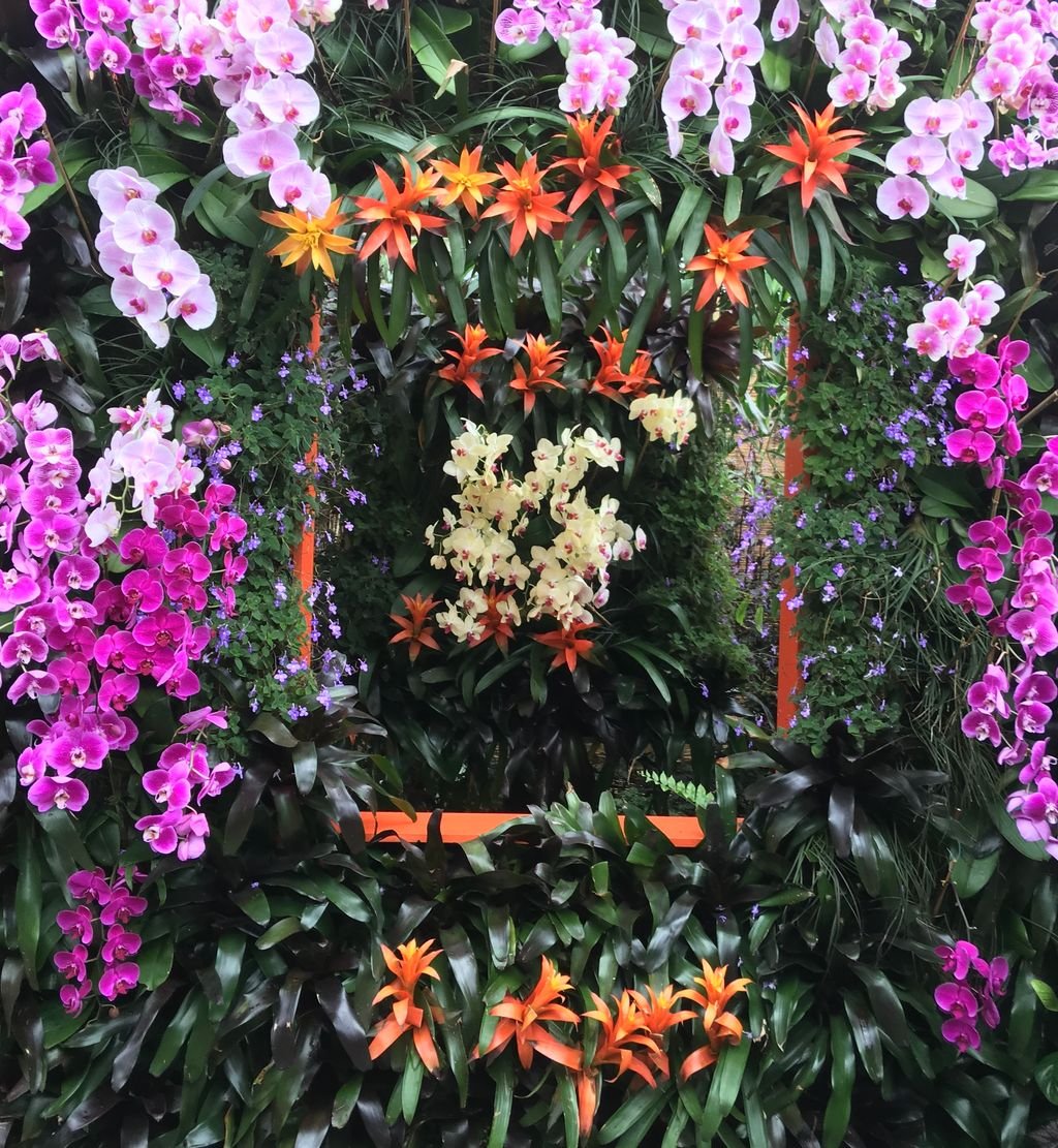 Flowers Galore YK Kimono Wrap image 3