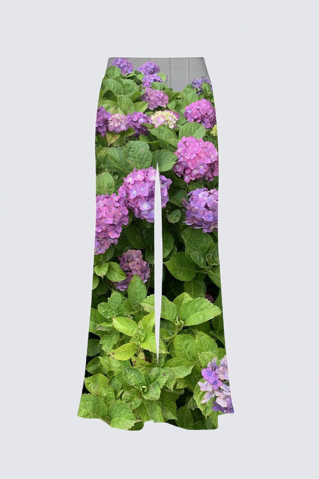 Hydrangea Haven Carla Palazzo image 0