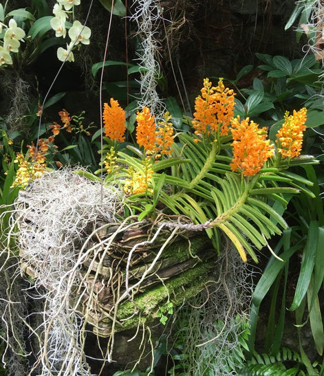 Luscious Tangerine Sweater Knit Nora Infinity Scarf image 2