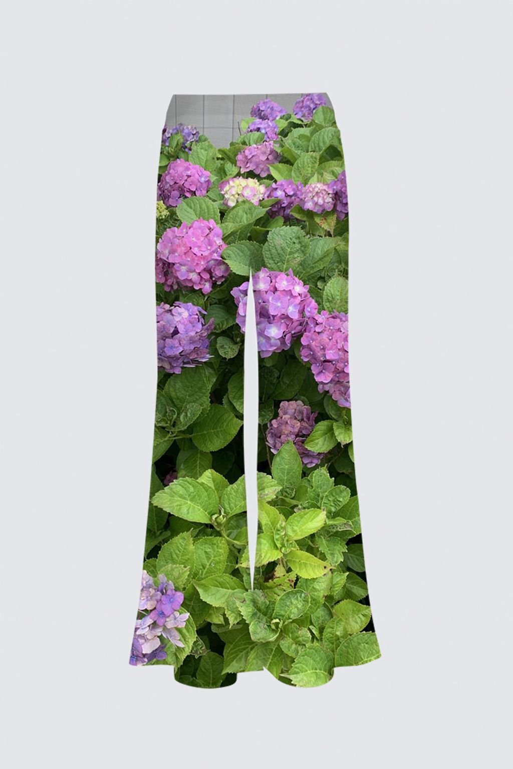 Hydrangea Haven Carla Palazzo image 1