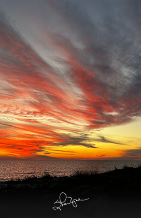 Frida Cardigan - Sunset at Longboat Key