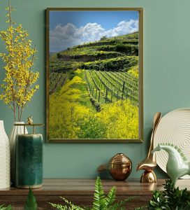 Vineyards